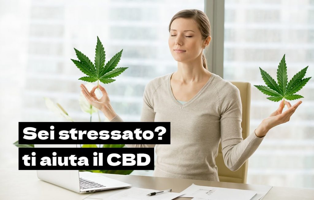 stress cbd