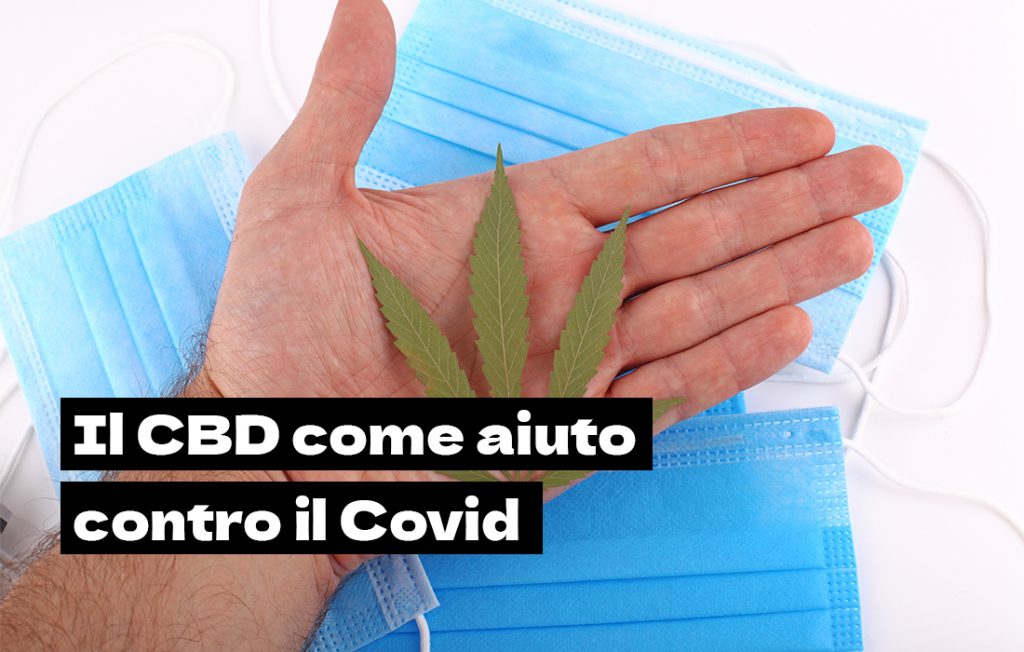 cbd covid