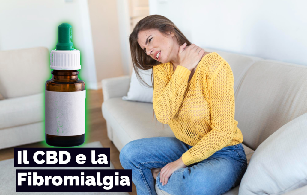 CBD Fibromialgia